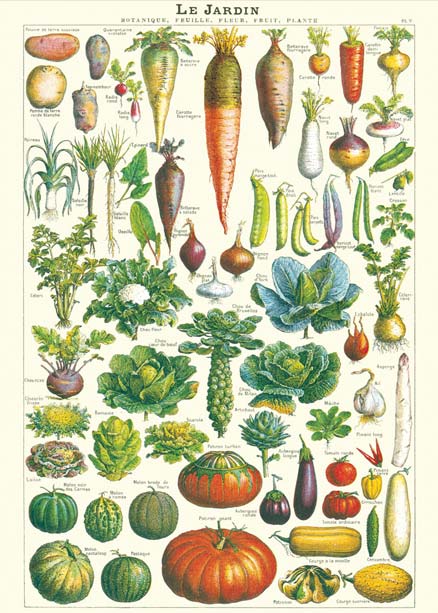 Goldfisch historische Poster le jardin Gemüse
