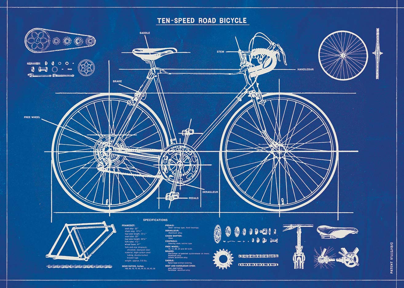 Goldfisch Poster Fahrrad ten speed road bicycle
