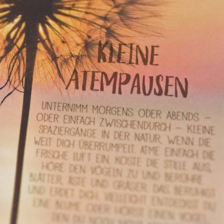 Goldfisch Spielzeug Kleine Atempause Achtsamkeitskarten
